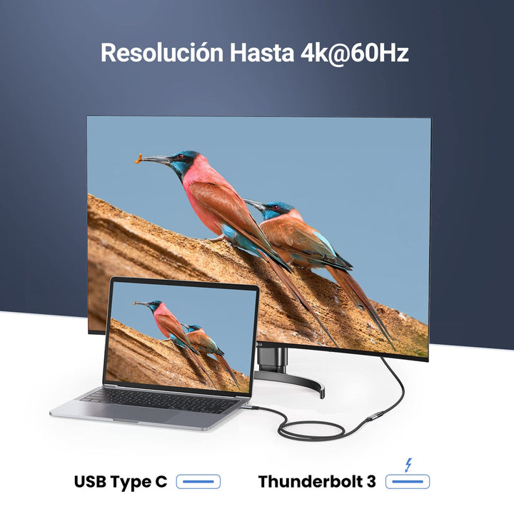 UGREEN Cable de Extensión USB C 3.2 Gen 2 10Gbps Vídeo 4K@60Hz